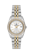 DANIEL KLEIN DK.1.13589-5 WOMEN WATCH