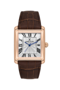 DANIEL KLEIN DK.1.13909-5 MEN WATCH