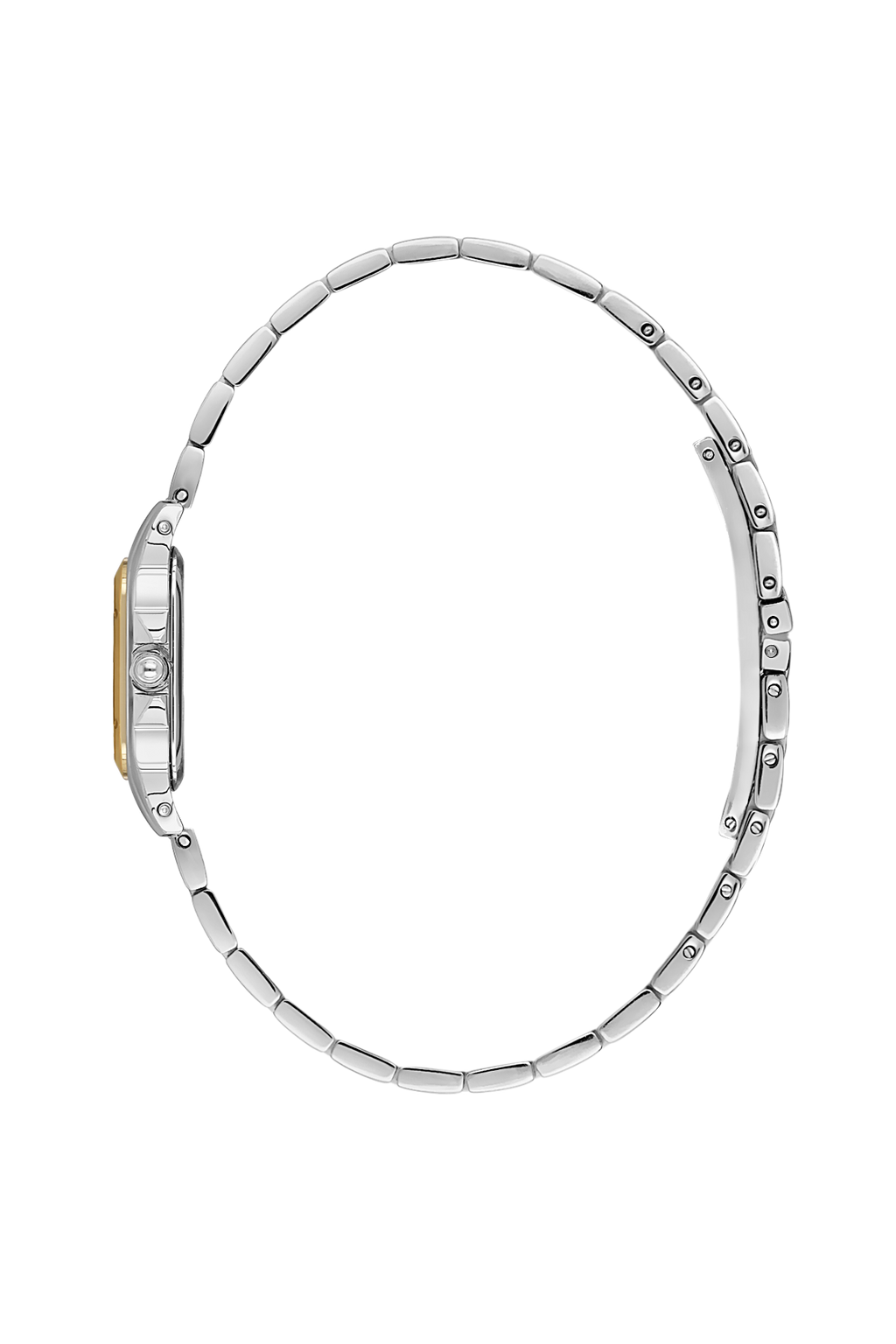 SANTA BARBARA POLO SB.1.10569-3 WOMEN WATCH